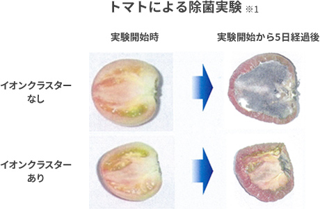 カビの発生抑制の比較